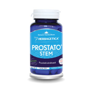 Prostato Stem