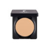 Pudra compacta Wet&Dry 10 Apricot