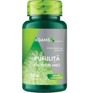 Pufulita cu flori mici