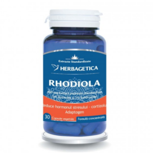 Rhodiola