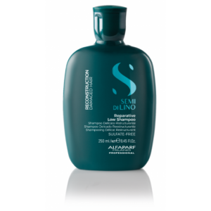 Sampon Reconstruction Reparative