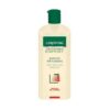 Sampon anticadere Tratament Expert Gerovital 400 ml
