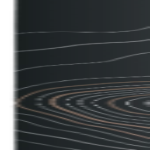 Sampon pentru barbati Blackwood & Mint