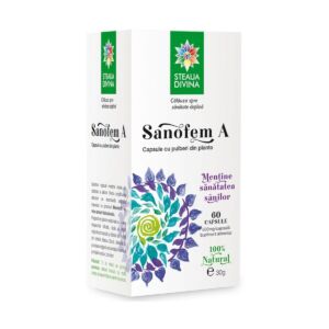 Sanofem A 500mg