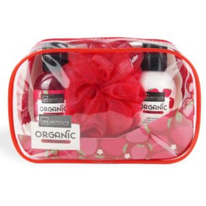 Set Organic Red Fruit Trasparennt Bag