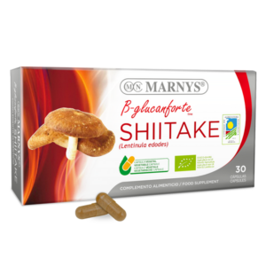 Shiitake