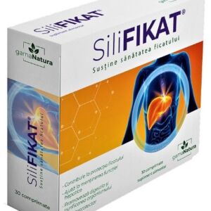 SiliFIKAT