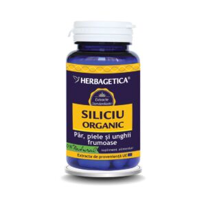 Siliciu Organic