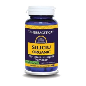 Siliciu organic
