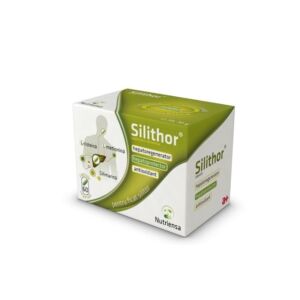 Silithor