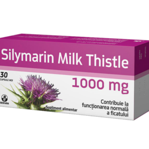 Silymarin Milk Thistle