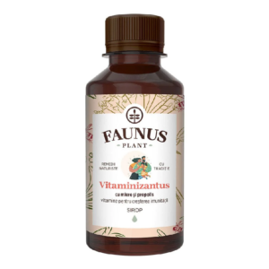 Sirop Vitaminizantus cu Miere si Propolis