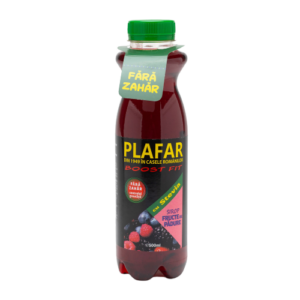 Sirop cu fructe de padure Boost Fit cu stevie