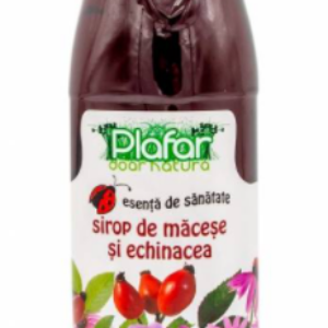Sirop de macese si echinacea