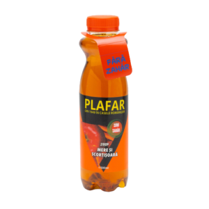 Sirop de mere si scortisoara cu zero zahar