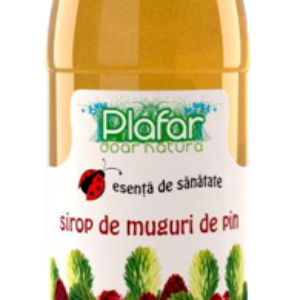 Sirop de muguri de pin