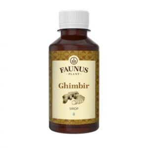 Sirop digestiv de Ghimbir