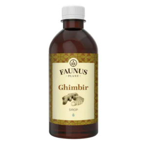 Sirop digestiv de Ghimbir