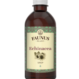 Sirop imunitate cu Echinacea