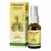 Spray pentru gat cu propolis si menta Calmotusin