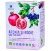 Suc de aronia si rodie