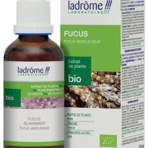 Tinctura Eco de alga marina bruna Fucus Vesiculosus
