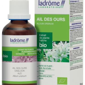 Tinctura Eco de usturoi salbatic Allium Ursinum