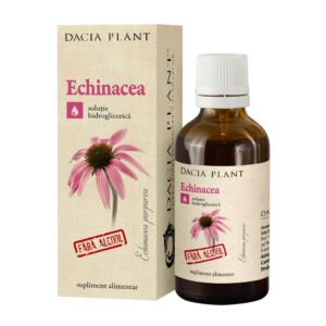 Tinctura de echinacea fara alcool