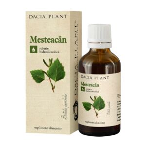 Tinctura de mesteacan