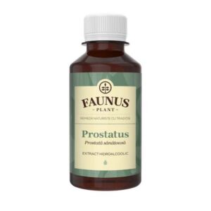 Tinctura pentru prostata Prostatus