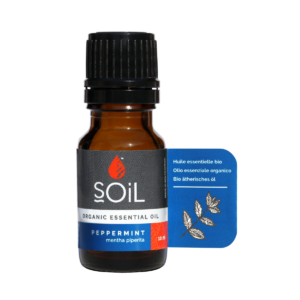 Ulei Bio Esential Menta Peppermint