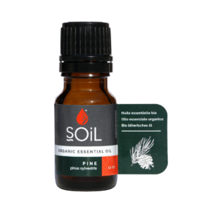 Ulei Esential Pin (Pinus sylvestris) 100% Organic Ecocert
