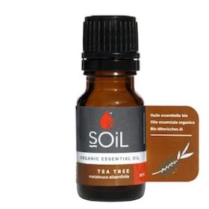 Ulei Esential de Arbore de Ceai (Melaleuca alternifolia) 100% Organic