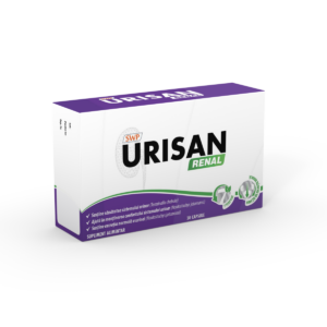 Urisan Renal