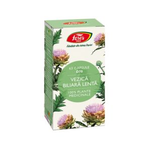 Vezica biliara lenta