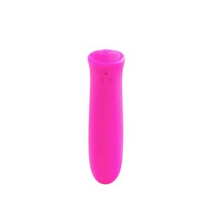 Vibrator The Smooth Player roz