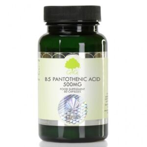 Vitamina B5 Acid Pantotenic 500mg