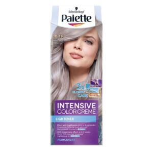 Vopsea de par Palette ICC 10-19 Blond argintiu rece