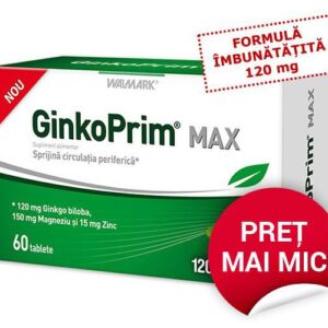 W GinkoPrim Max 120 mg