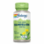 Dandelion (Papadie) 520 mg Solaray, 100 capsule, Secom
