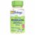 Echinacea Solaray, 100 capsule – Secom