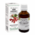 Extract din muguri de Mar Paduret, 50 ml, Plant Extrakt
