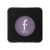 Fard de pleoape Mono No 013 Grand Galaxy, 5g, Flormar