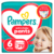 Scutece chilotel Pants Marimea 6 pentru 13-19 kg, 29 bucati, Pampers