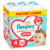 Scutece-chilotel Premium Care Pants XXL Box Marimea 4 pentru 9-15 kg, 94 bucati, Pampers