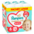 Scutece-chilotel Premium Care Pants XXL Box Marimea 6 pentru 13kg-18kg, 72 bucati, Pampers