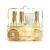 Set de baie in cos metalic Scented Gold, 7 piese, IDC Institute