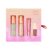 Set de machiaj pentru fata Glow Icons, 4 piese, Profusion Cosmetics